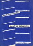 ANIOŁ PO KATASTROFIE Anna Grzegorczyk w sklepie internetowym Hatteria.pl 