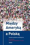 MIĘDZY AMERYKĄ A POLSKĄ. OPOLSKIE SPOTKANIA SOCJOLOGICZNE Krzysztof Frysztacki, Anna Śliz w sklepie internetowym Hatteria.pl 