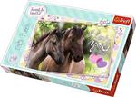 260 Elementów Sweet & Lovely, Kochamy konie w sklepie internetowym Fantastyczne-Zakupy.pl