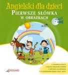 Angielski dla dzieci Pierwsze słówka w obrazkach w sklepie internetowym Booknet.net.pl