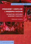 Procesy cieplne i przepływowe w dużych kotłach energetycznych w sklepie internetowym Booknet.net.pl