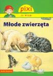 Pixi Ja wiem! Młode zwierzęta w sklepie internetowym Booknet.net.pl