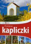 Polskie kapliczki. Piękna Polska w sklepie internetowym Booknet.net.pl