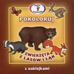Pokoloruj Zwierzęta z lasów i łąk w sklepie internetowym Booknet.net.pl