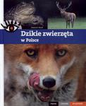 Dzikie zwierzęta w Polsce Piękne ciekawe wyjątkowe w sklepie internetowym Booknet.net.pl