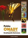 Polska Owady i inne bezkręgowce Encyklopedia ilustrowana w sklepie internetowym Booknet.net.pl