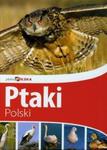 Piękna Polska Ptaki Polski w sklepie internetowym Booknet.net.pl