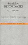 PŁOMIENIE. Kolekcja Prozy Polskiej XX wieku w sklepie internetowym Booknet.net.pl