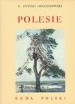 Polesie Cuda Polski w sklepie internetowym Booknet.net.pl