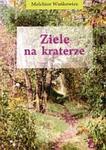 Ziele na kraterze w sklepie internetowym Booknet.net.pl