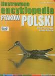 Ilustrowana encyklopedia ptaków Polski w sklepie internetowym Booknet.net.pl