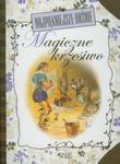 Najpiękniejsze baśnie Magiczne krzesiwo w sklepie internetowym Booknet.net.pl