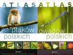 Atlas owadów i ptaków polskich. PAKIET w sklepie internetowym Booknet.net.pl