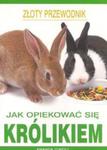 Jak opiekować się królikiem w sklepie internetowym Booknet.net.pl