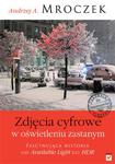 Zdjęcia cyfrowe w oświetleniu zastanym. Poradnik dla fotoamatorów w sklepie internetowym Booknet.net.pl