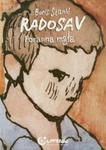 Radosav Poranna mgła w sklepie internetowym Booknet.net.pl