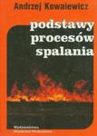 Podstawy procesów spalania w sklepie internetowym Booknet.net.pl