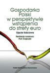 Gospodarka polska w perspektywie wstąpienia do strefy euro w sklepie internetowym Booknet.net.pl