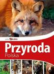 Przyroda polska. Piękna Polska w sklepie internetowym Booknet.net.pl