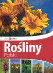 Rośliny Polski. Piękna Polska w sklepie internetowym Booknet.net.pl