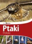 Ptaki Polski - Piękna Polska w sklepie internetowym Booknet.net.pl