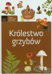 Królestwo grzybów w sklepie internetowym Booknet.net.pl