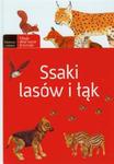 Ssaki lasów i łąk w sklepie internetowym Booknet.net.pl