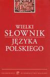 Wielki słownik języka polskiego w sklepie internetowym Booknet.net.pl
