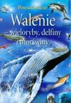 Walenie wieloryby delfiny i morświny w sklepie internetowym Booknet.net.pl