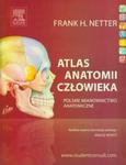 Atlas anatomii człowieka Nettera. Polskie mianownictwo anatomiczne w sklepie internetowym Booknet.net.pl