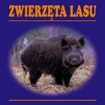 Zwierzęta lasu w sklepie internetowym Booknet.net.pl