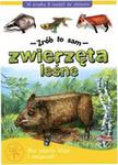 Zwierzęta leśne - Zrób to sam w sklepie internetowym Booknet.net.pl