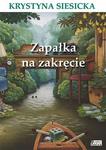 Zapałka na zakręcie w sklepie internetowym Booknet.net.pl