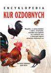 Encyklopedia kur ozdobnych w sklepie internetowym Booknet.net.pl