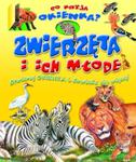 Zwierzęta i ich młode. Co kryją okienka? w sklepie internetowym Booknet.net.pl