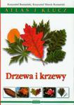 Drzewa i krzewy Atlas i klucz w sklepie internetowym Booknet.net.pl