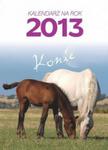 Kalendarz 2013 Konie w sklepie internetowym Booknet.net.pl