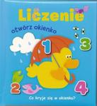 Otwórz okienko Liczenie w sklepie internetowym Booknet.net.pl