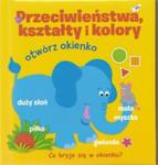 Otwórz okienko Przeciwieństwa kształty i kolory w sklepie internetowym Booknet.net.pl