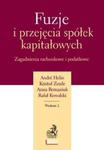 Fuzje i przejęcia spółek kapitałowych Zagadnienia rachunkowe i podatkowe w sklepie internetowym Booknet.net.pl