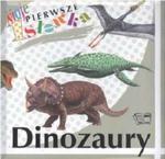 Moje pierwsze słówka. Dinozaury w sklepie internetowym Booknet.net.pl