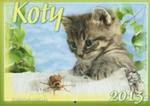 Kalendarz 2013 WL 9 Koty w sklepie internetowym Booknet.net.pl