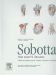 Atlas anatomii człowieka Sobotta w sklepie internetowym Booknet.net.pl