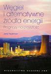 Węgiel i alternatywne źródła energii w sklepie internetowym Booknet.net.pl