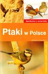 Ptaki w Polsce. Spotkania z przyrodą w sklepie internetowym Booknet.net.pl