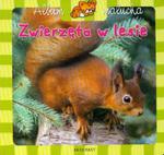 Album malucha Zwierzęta w lesie w sklepie internetowym Booknet.net.pl