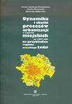 Dynamika i skutki procesów urbanizacji w regionach miejskich po 1990 roku na przykładzie regionu miejskiego Łodzi w sklepie internetowym Booknet.net.pl