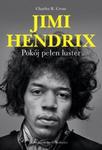 Jimi Hendrix Pokój pełen luster w sklepie internetowym Booknet.net.pl