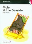 Primary Readers 1 Mole at the Seaside w sklepie internetowym Booknet.net.pl