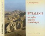 Wypalenie nie tylko na polu zawodowym w sklepie internetowym Booknet.net.pl